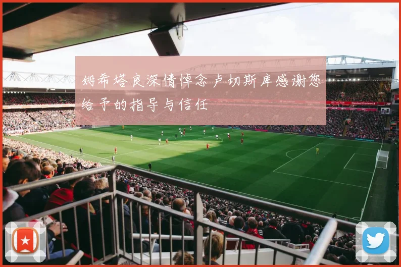 姆希塔良深情悼念卢切斯库感谢您给予的指导与信任