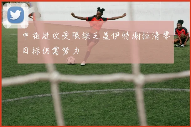 申花进攻受限缺乏盖伊特谢拉清零目标仍需努力