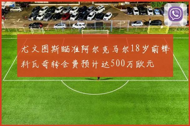 尤文图斯瞄准阿尔克马尔18岁前锋科瓦奇转会费预计达500万欧元
